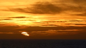 20131117-2pac_01_DSC8103