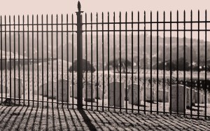 20131220-2one_1DSC_5640v2