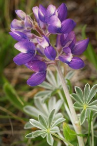 20140309-swee6x4-P1019384