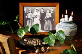 20140216-2treas1_DSC9590