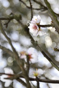 20140217-2flo1_DSC9471