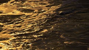 20140129-2cap_2_DSC9058v192