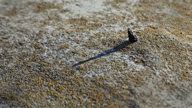 20131213-2sf_03_DSC8424v2