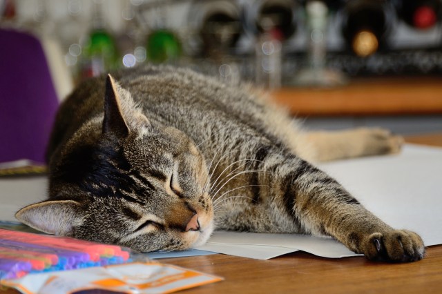 20150720-otis-DSD_7061