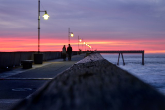 20161103-sharppark08-dse_3382_s1500